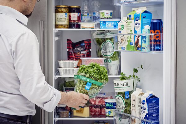 Valokuvassa avoin jääkaappi ja ihminen, joka pitää kädessään salaattia.